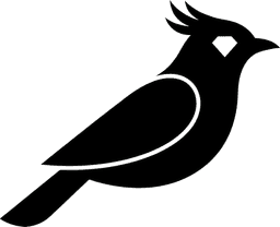 Bowerbird